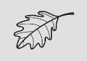 Logo gris
